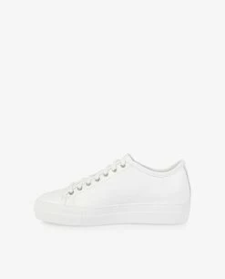 `Fox` Sneaker -pauw Sales Shop pauw 4925140003LE000 P5 2